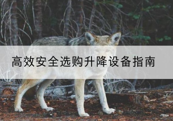元氏升降货梯厂家推荐-*安全选购升降设备指南