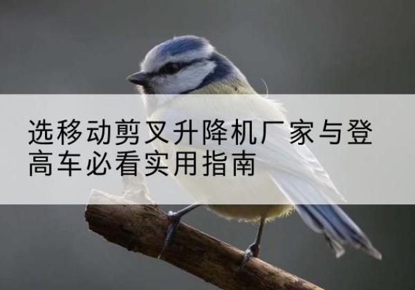 元氏电动升降机厂家-选移动剪叉升降机厂家与登高车必看实用指南