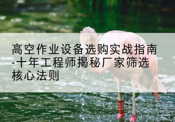元氏剪叉式升降机厂家-高空作业设备选购实战指南-十年工程师揭秘厂家筛选核心法则